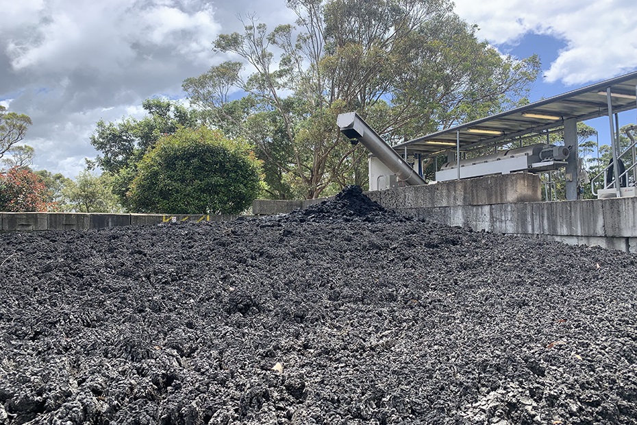 processed biosolids on a drying bed