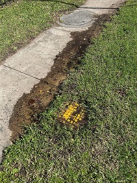 Image showing water flowing down a path from a hydrant