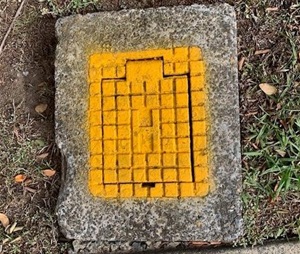 image of water hydrant in concrete encasement